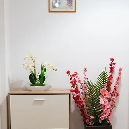 Διαμέρισμα Cozy In Center *